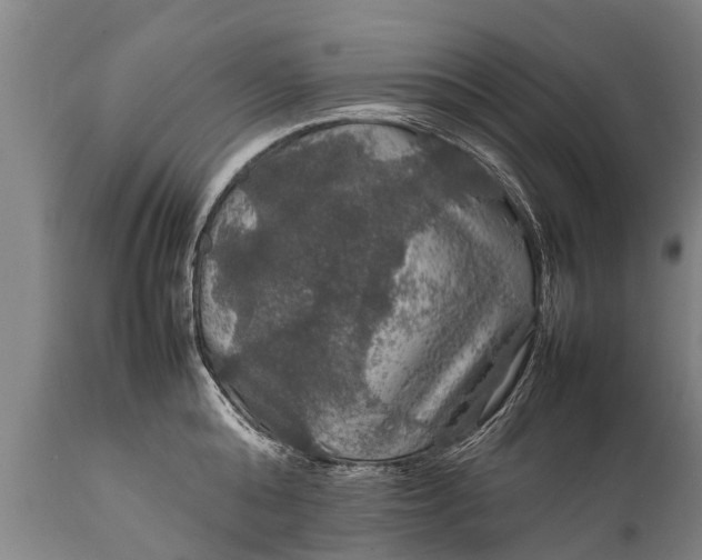 X0000112010808200908171441