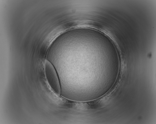 X0000112010809200908171441