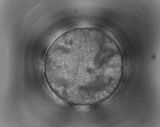 X0000112010810200908171441