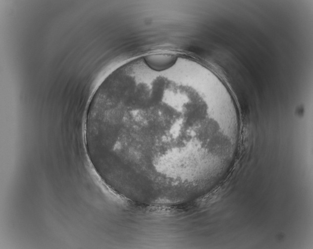 X0000112010811200908171441