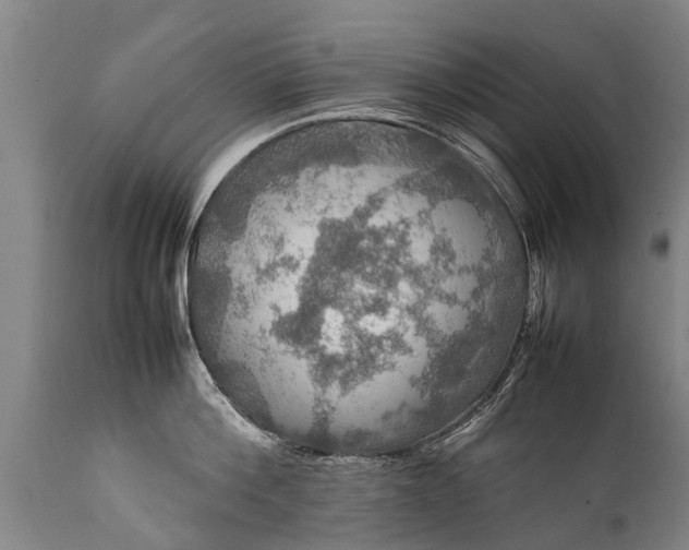 X0000112010812200908171441