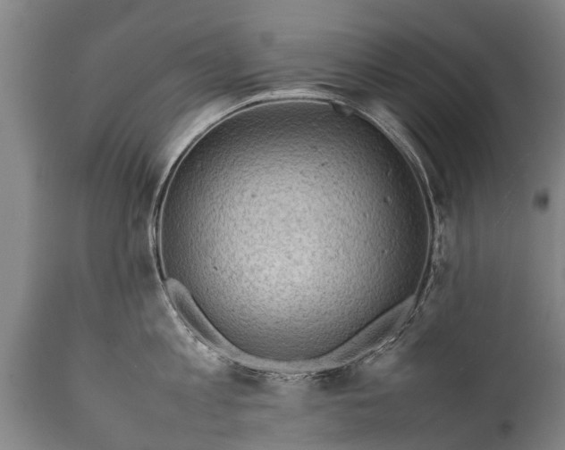 X0000112010813200908171441