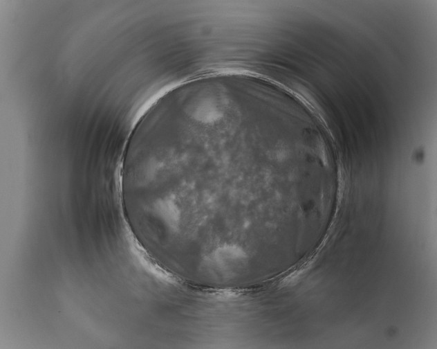 X0000112010814200908171441