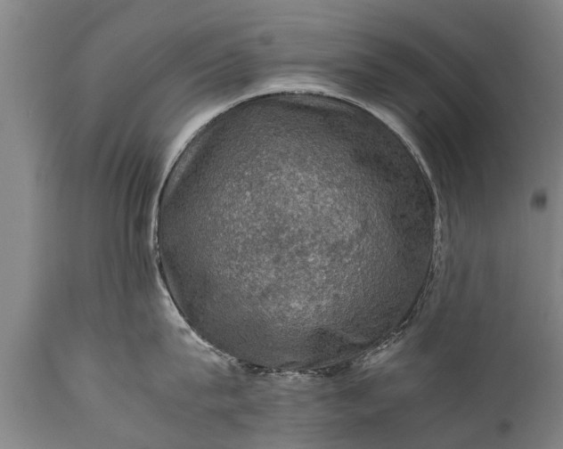 X0000112010815200908171441