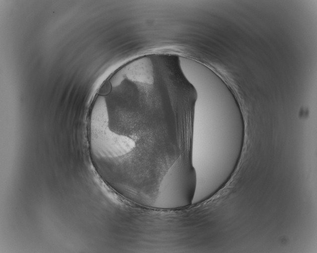 X0000112010816200908171441