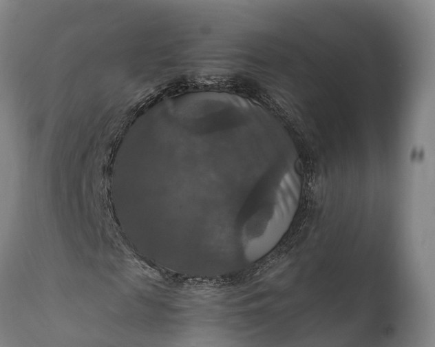 X0000112010817200908171441