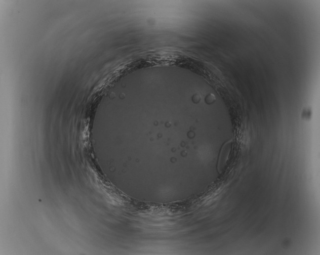 X0000112010818200908171441