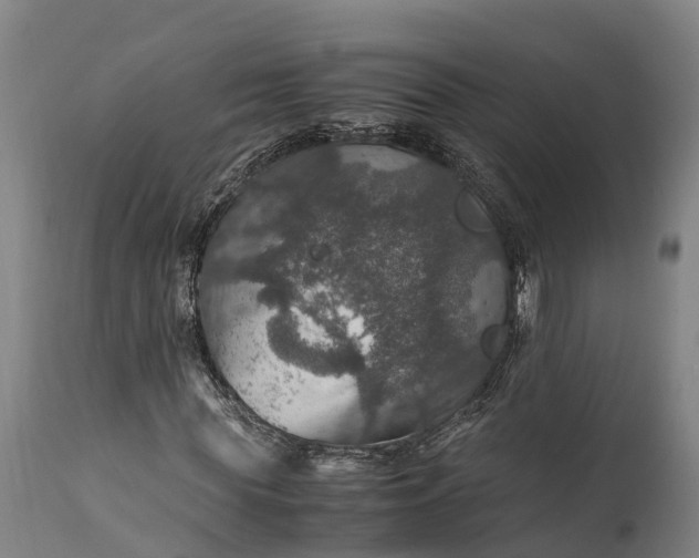 X0000112010819200908171441