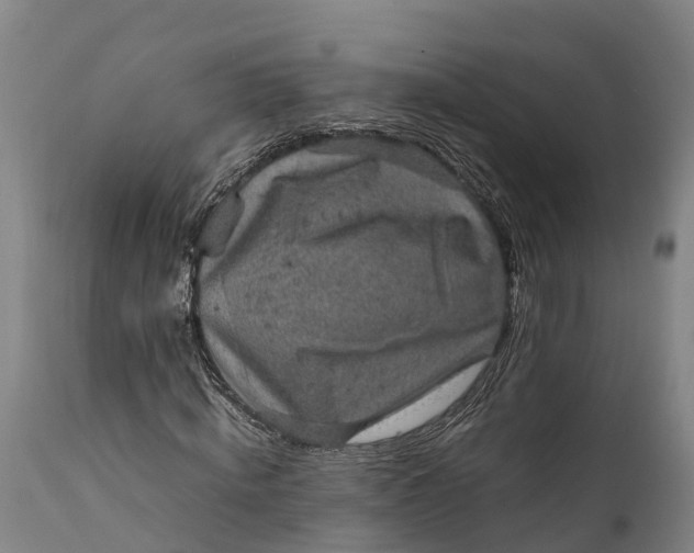 X0000112010820200908171441