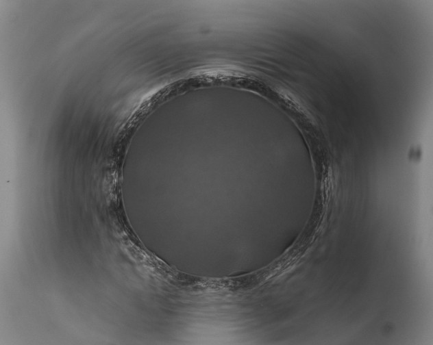 X0000112010822200908171441