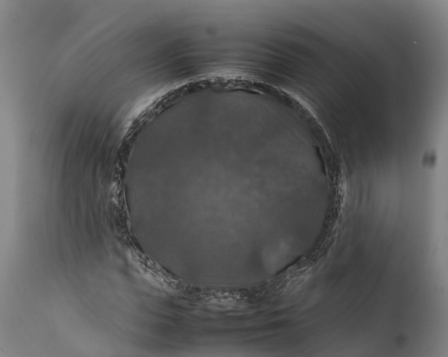 X0000112010823200908171441