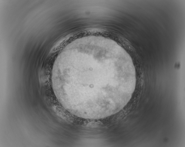 X0000112010824200908171441