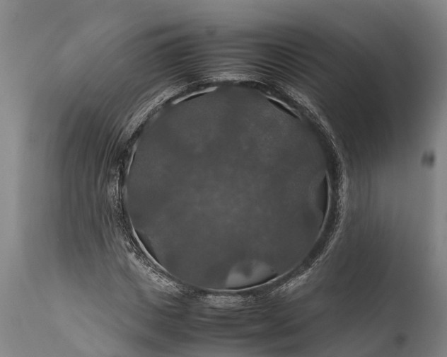 X0000112010825200908171441