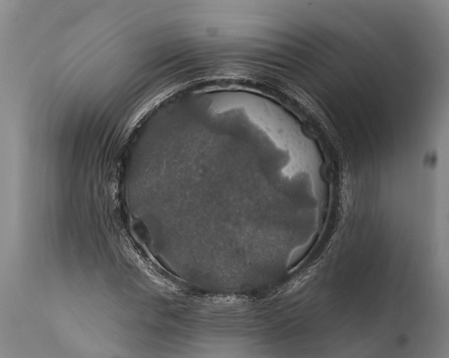 X0000112010826200908171441