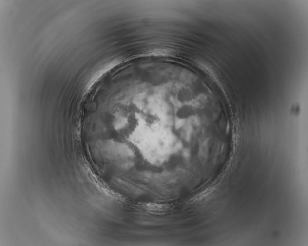 X0000112010827200908171441