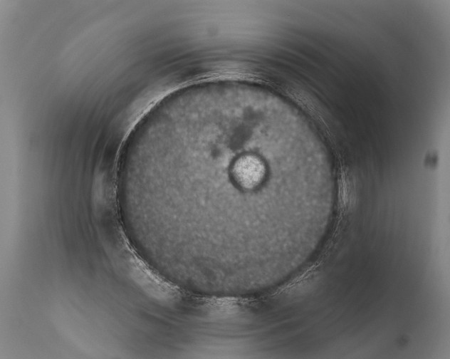 X0000112010828200908171441