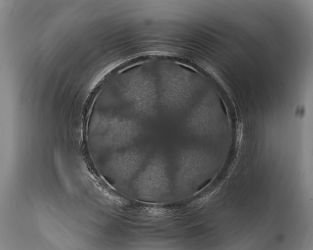 X0000112010829200908171441