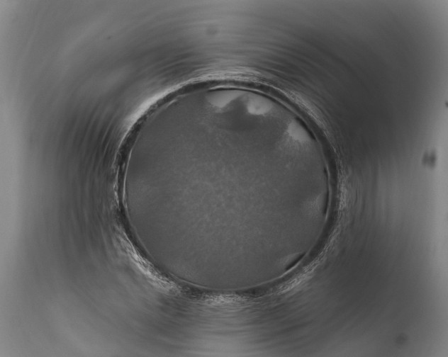 X0000112010830200908171441