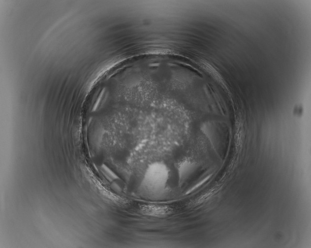 X0000112010831200908171441