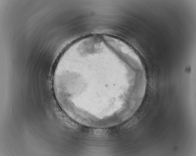 X0000112010832200908171441