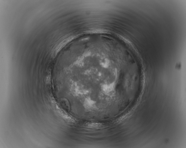 X0000112010833200908171441