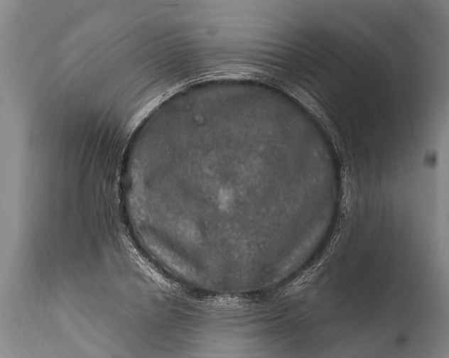 X0000112010834200908171441