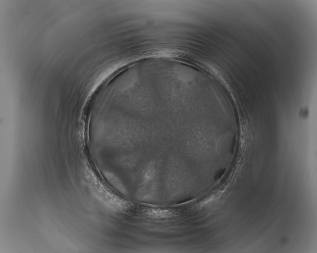 X0000112010835200908171441