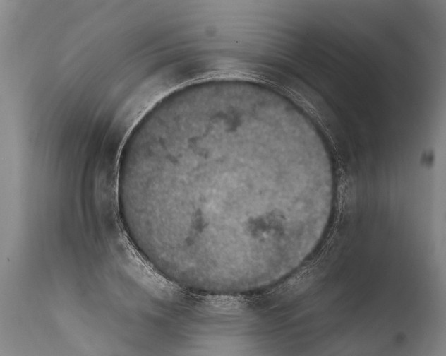 X0000112010836200908171441