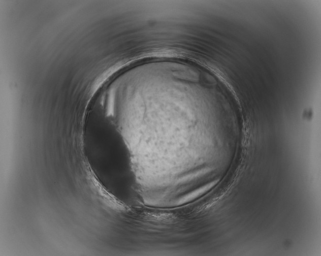 X0000112010837200908171441