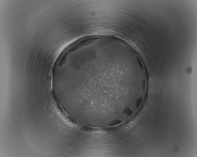 X0000112010838200908171441