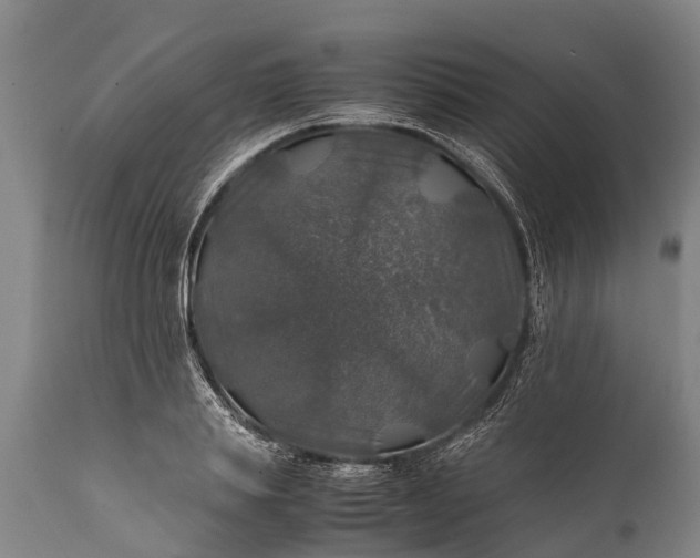 X0000112010839200908171441