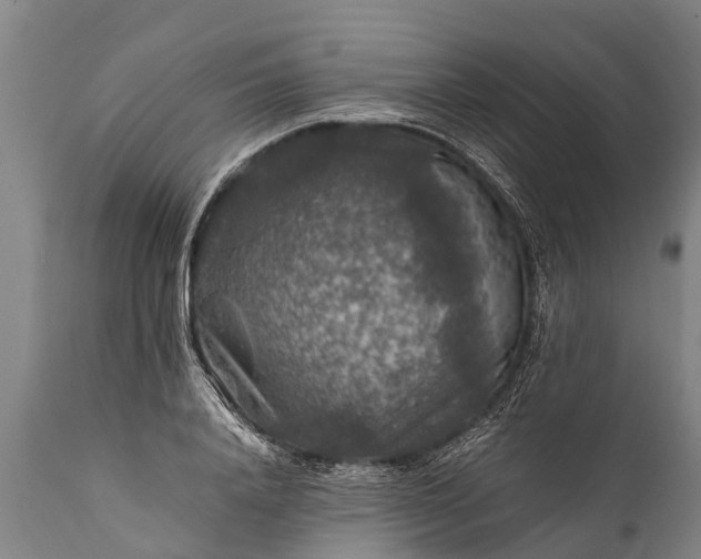 X0000112010840200908171441