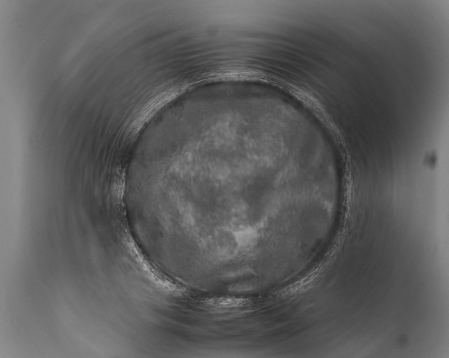 X0000112010841200908171441