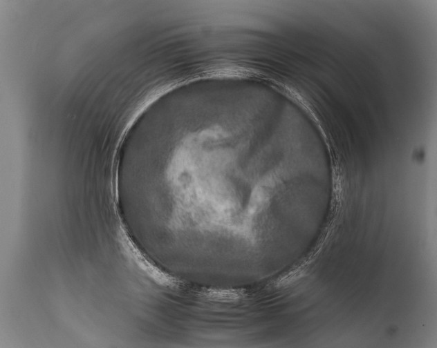 X0000112010843200908171441