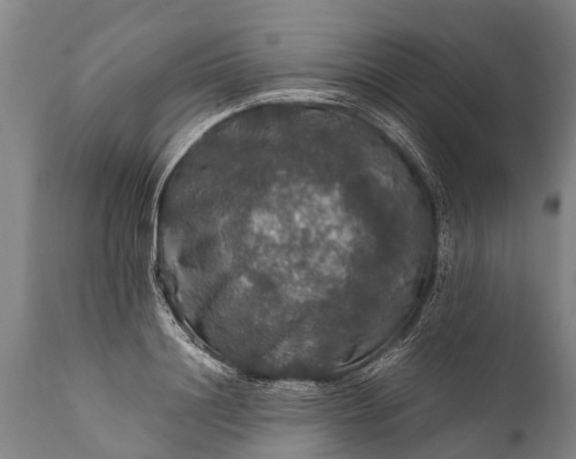 X0000112010844200908171441