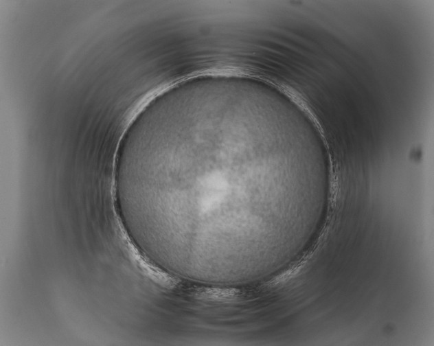 X0000112010845200908171441