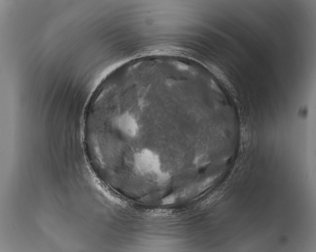 X0000112010846200908171441