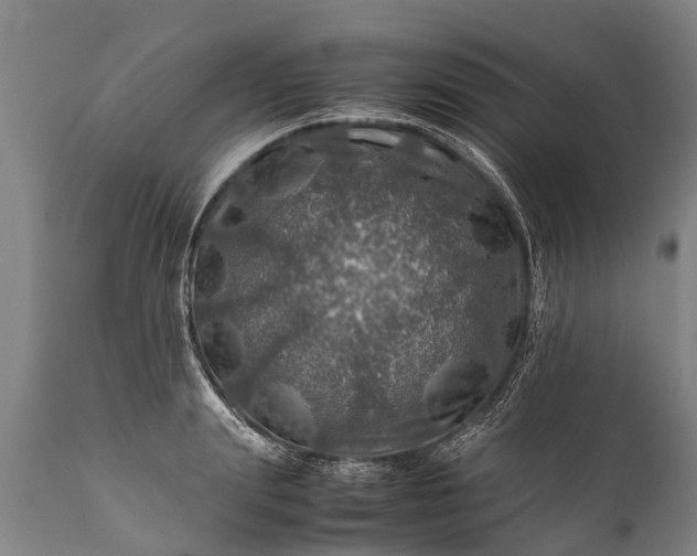 X0000112010847200908171441