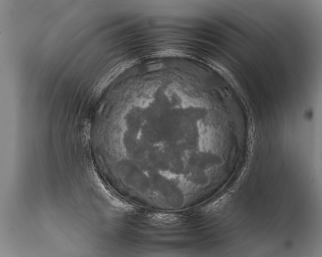 X0000112010849200908171441