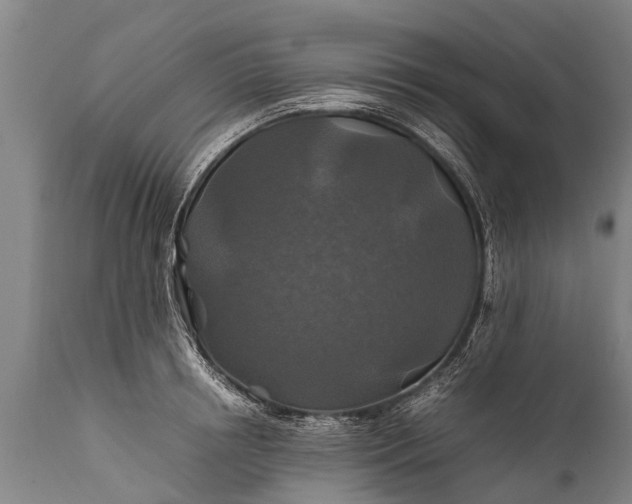 X0000112010850200908171441