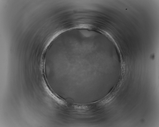 X0000112010851200908171441