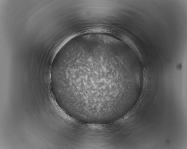 X0000112010852200908171441