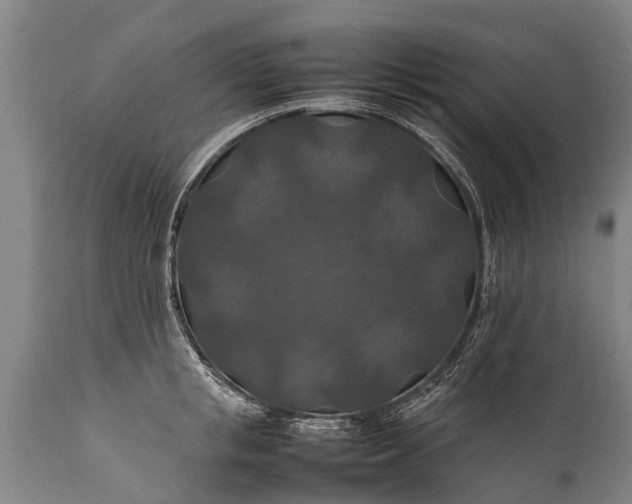 X0000112010853200908171441