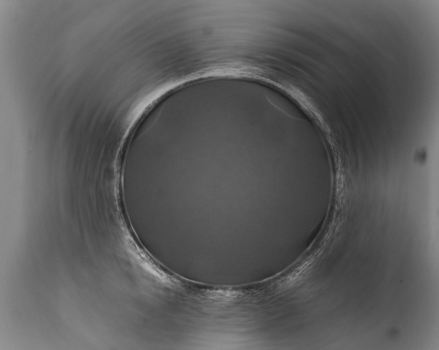 X0000112010854200908171441