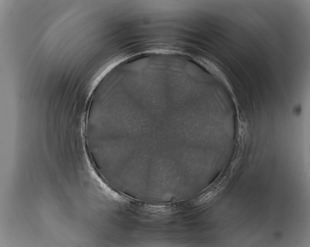 X0000112010855200908171441