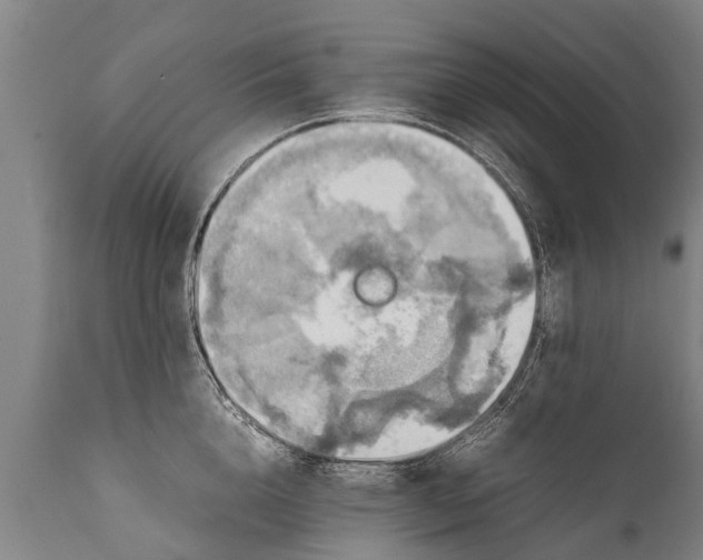 X0000112010856200908171441