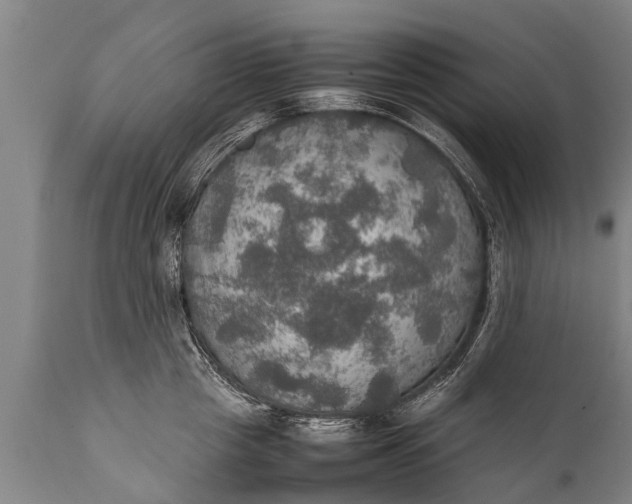 X0000112010857200908171441