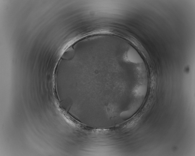 X0000112010858200908171441