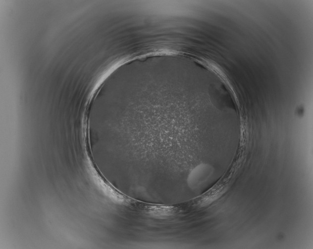 X0000112010859200908171441