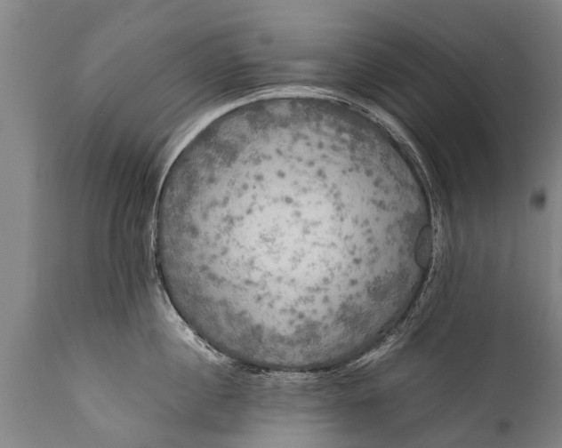 X0000112010860200908171441